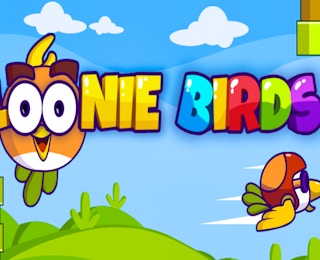 Loonie Birds Casual online game thumbnail